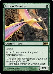 Birds of Paradise Magic 2012